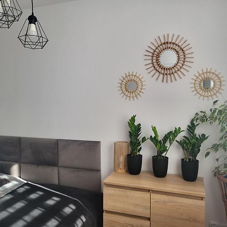 Apartament M&K Z Widokiem Na Stare Miasto Замосць Экстерьер фото